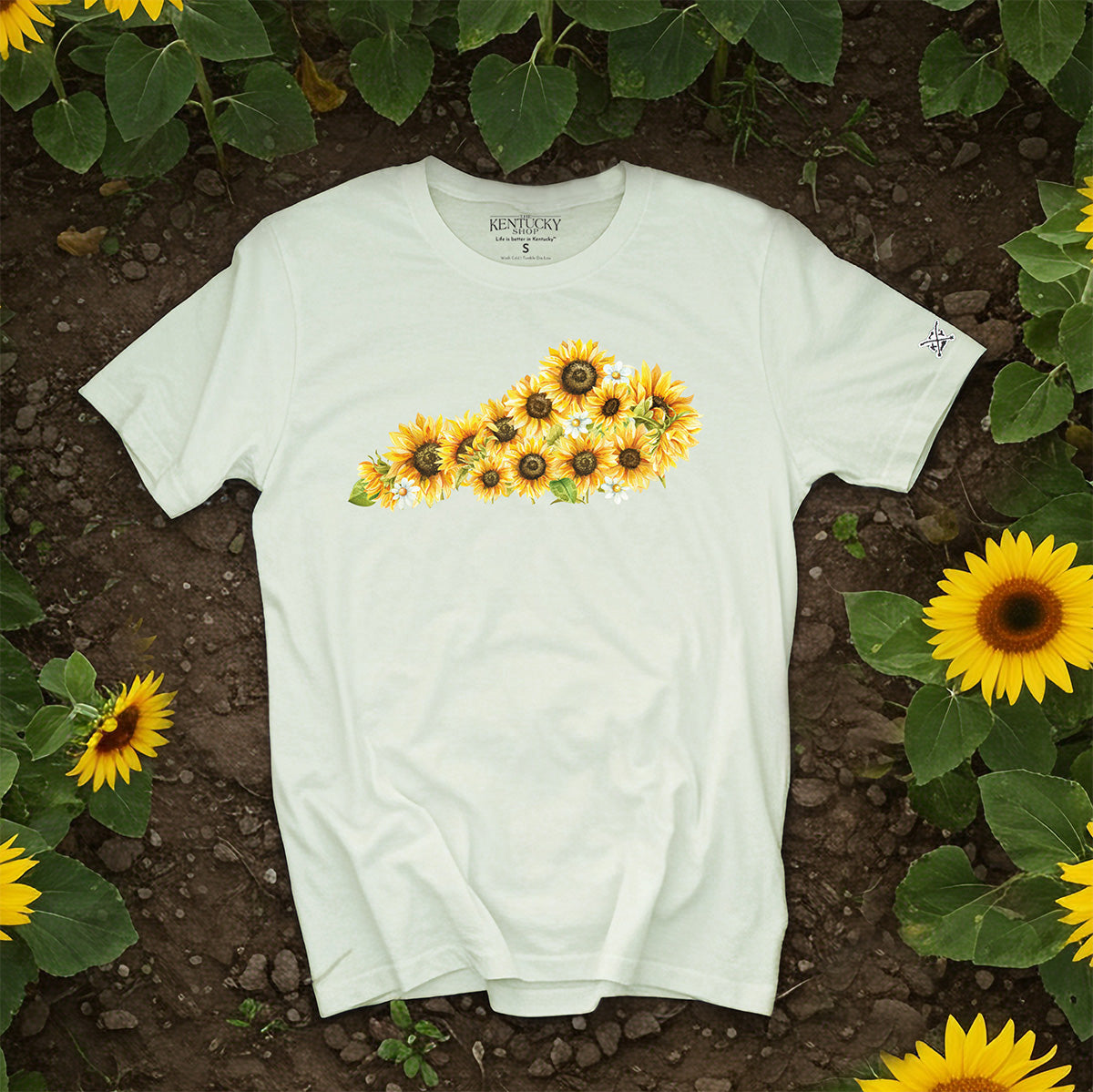 SunflowerPromo_2048x.jpg?v=